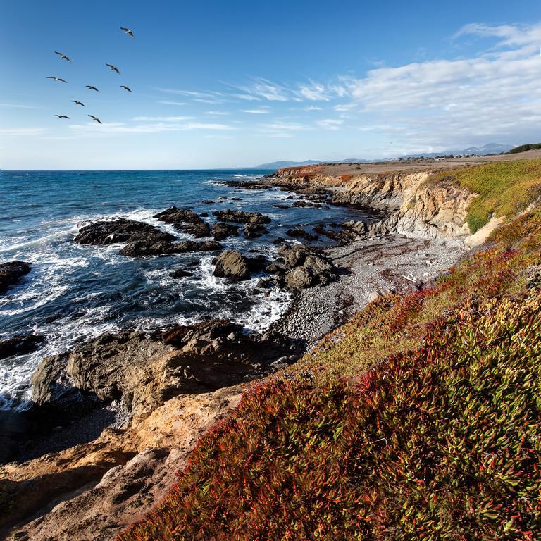 Moonstone Cottages Cambria Esterno foto